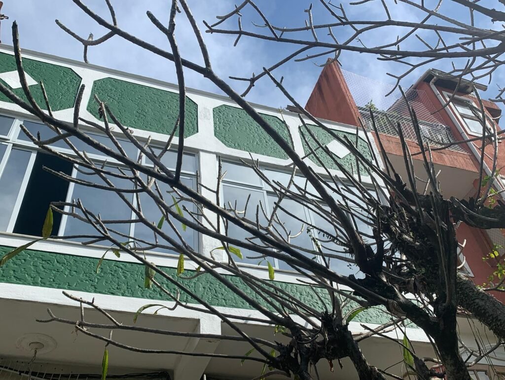 Pelicula Fume de Prata por fora